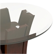 Bowery Hill Contemporary Solid Wood/Wood Veneer/MDF/Glass End Table in Cherry