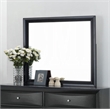 Bowery Hill Contemporary Rectangular Wood Frame Bedroom Mirror in Black