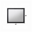 Bowery Hill Contemporary Rectangular Wood Frame Bedroom Mirror in Black