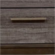 Bowery Hill 2 Drawers Contemporary Wood Nightstand in Antique Gray