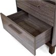 Bowery Hill 2 Drawers Contemporary Wood Nightstand in Antique Gray