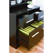 Bowery Hill File Cabinet in Cappuccino