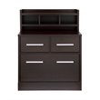 Bowery Hill File Cabinet in Cappuccino