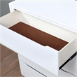 Bowery Hill 2-Drawer Mid-Century Solid Wood/Wood Veneer/MDF Nightstand in White