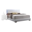Bowery Hill Modern Wood/Metal Queen Panel Bed with LED in White