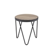 Bowery Hill Contemporary Metal End Table in Weathered Gray Oak