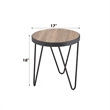 Bowery Hill Contemporary Metal End Table in Weathered Gray Oak