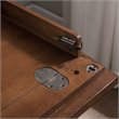 Bowery Hill Computer Desk in Walnut and Foundry Bronze