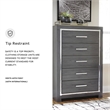 Bowery Hill Contemporary 5-Drawer Engineered Wood Chest in Gray