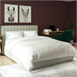 Bowery Hill Modern Fabric Upholstered Queen Bed with Storage Drawers in Gray