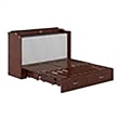 Bowery Hill Traditional Solid Wood Bed Chest with Mattress in Walnut