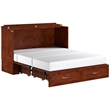 Bowery Hill Queen Traditional Solid Wood Murphy Bed Chest w/ Mattress in Walnut