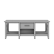 Bowery Hill Modern Engineered Wood Coffee Table with Storage in Gray