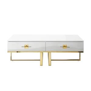 Bowery Hill 2-Drawers Stainless Steel Base Coffee Table in White and Gold