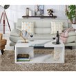 Bowery Hill Contemporary Glass Insert Coffee Table in Marble White