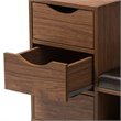 Bowery Hill Mid Century Wood Modern Storage Shoe Storage Bench in Walnut Brown