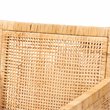 Bowery Hill Natural Finished Wood and Rattan Armchair