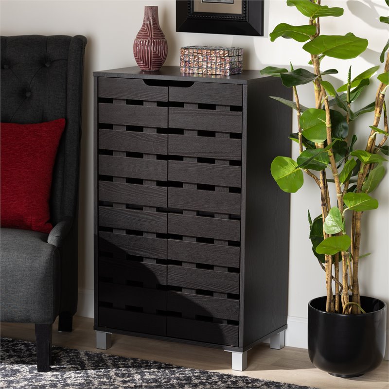 Bowery Hill Dark Brown Finished Wood 2-Door Shoe Storage Cabinet