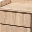 Bowery Hill Contemporary Walnut Finished Wood 2-Drawer Nightstand