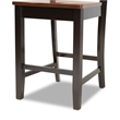 Bowery Hill Two-Tone Brown Finished Wood 2-Piece Counter Stool Set