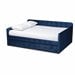 Navy Blue Velvet