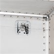 Bowery Hill Mid-Century Metal and Wood Storage Trunk in Silver