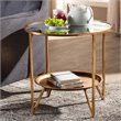Bowery Hill Modern Metal Table with Mirrored Glass Top in Gold