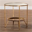 Bowery Hill Modern Metal Table with Mirrored Glass Top in Gold