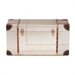 Bowery Hill MDF Wood Silver Storage Trunk Rectangular Fully Assembled