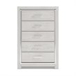Bowery Hill Contemporary 5 Drawer Chest in White