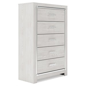 Bowery Hill Contemporary 5 Drawer Chest in White