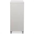 Bowery Hill Multipurpose Entryway Storage Cabinet in White