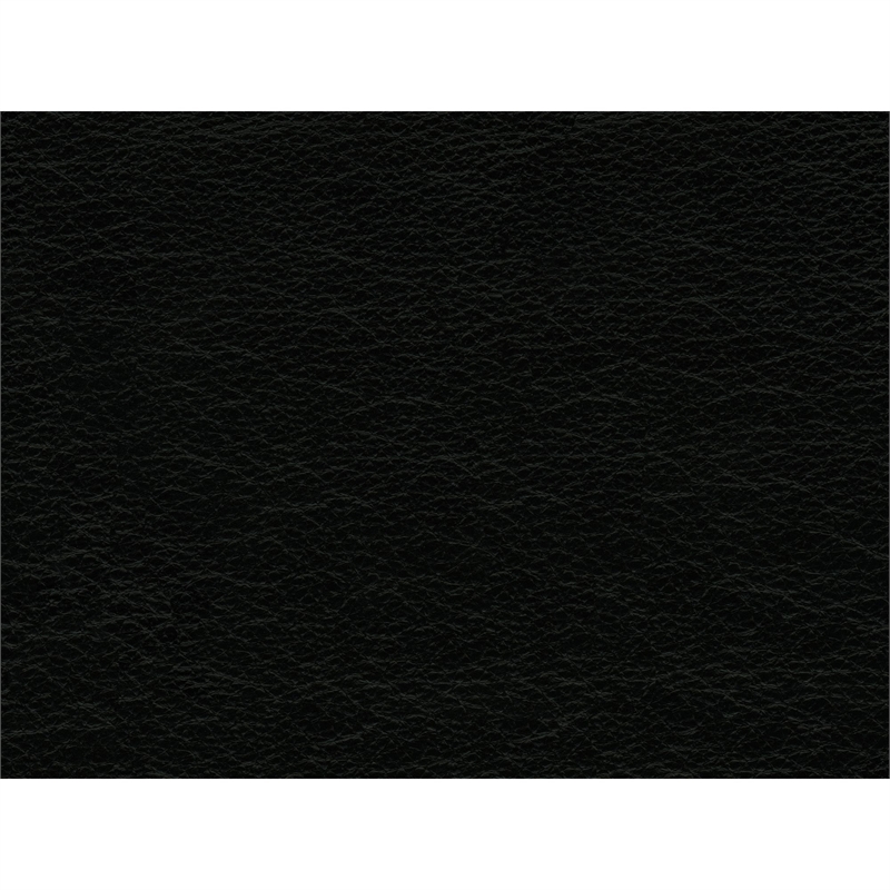 Bowery Hill Contemporary Genuine Leather Accent Chair in Fiero Black