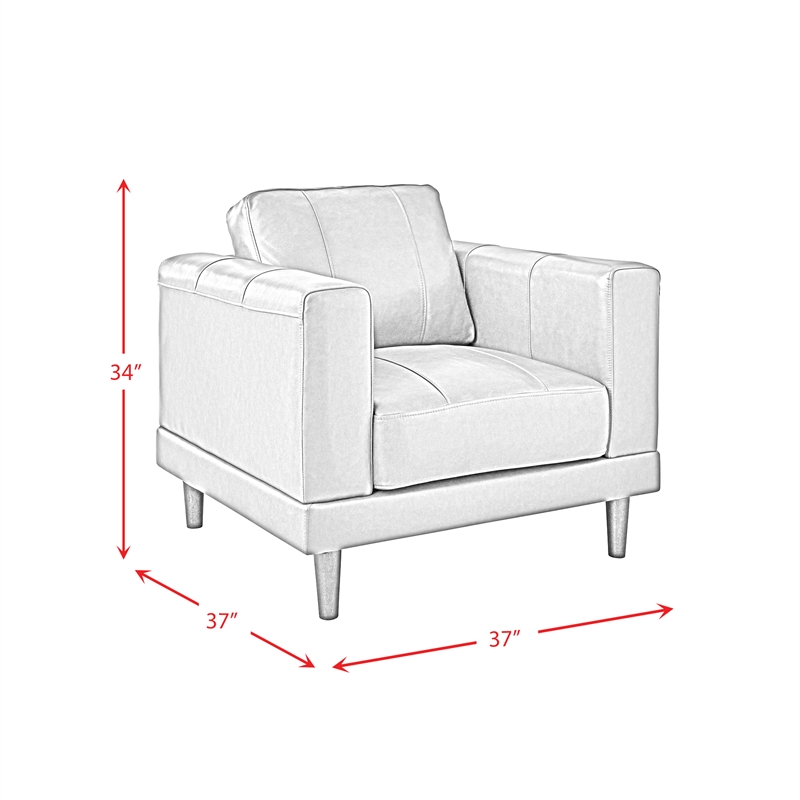 Bowery Hill Contemporary Genuine Leather Accent Chair in Fiero Black