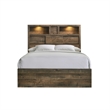 Bowery Hill Mid-Century Queen Bookcase Panel Bed with Bluetooth