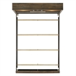 Bowery Hill Mid-Century Queen Bookcase Panel Bed with Bluetooth