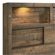 Bowery Hill Mid-Century Queen Bookcase Panel Bed with Bluetooth