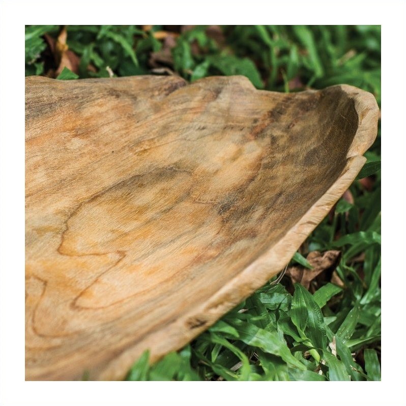 Bowery Hill Teak Natural Bowl