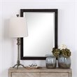 Bowery Hill Contemporary Decorative Mirror in Rustic Aged Black