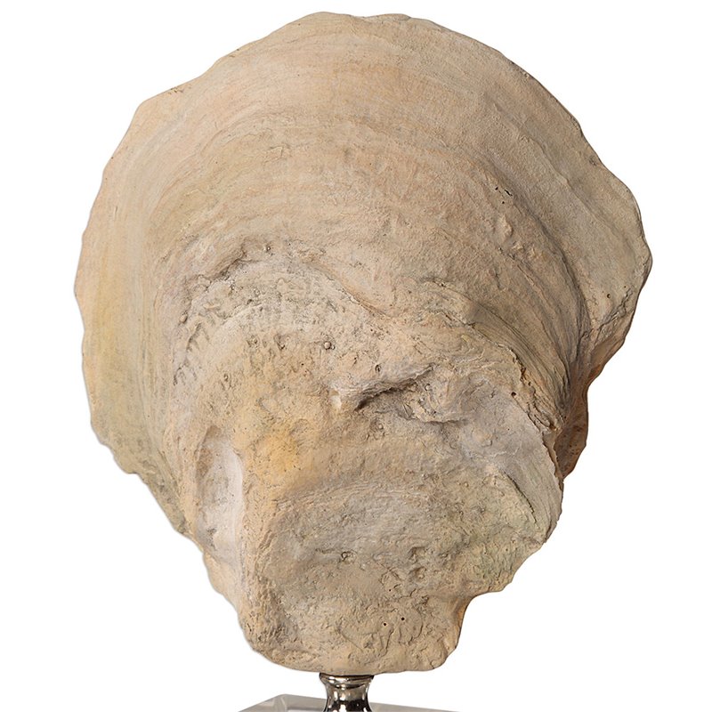 Bowery Hill Modern 2 Piece Shell Sculpture Set in Aged Ivory
