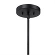 Bowery Hill Contemporary 1 Light Pendant in Matte Black