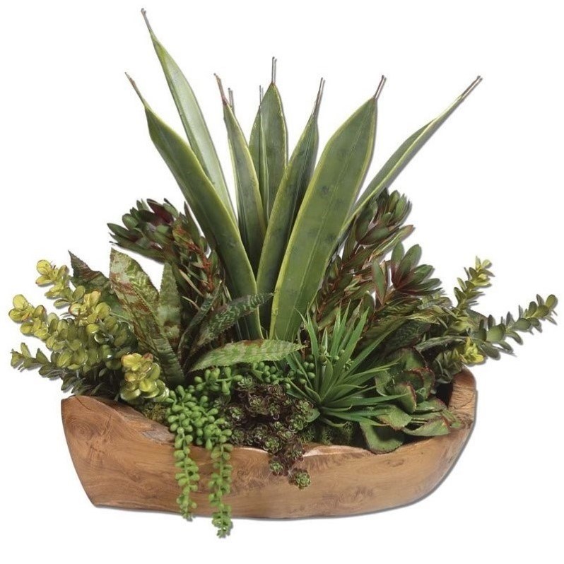 Bowery Hill Contemporary Salar Succulents In Teak Bowl