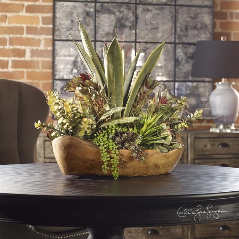 Bowery Hill Contemporary Salar Succulents In Teak Bowl