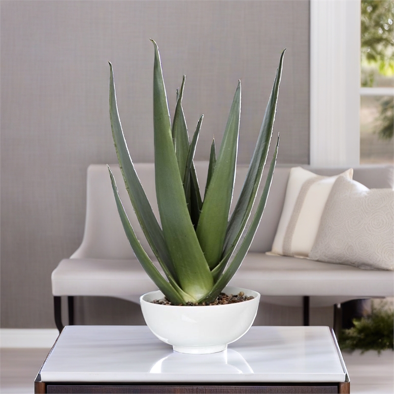 Bowery Hill Contemporary Planter in Glossy White