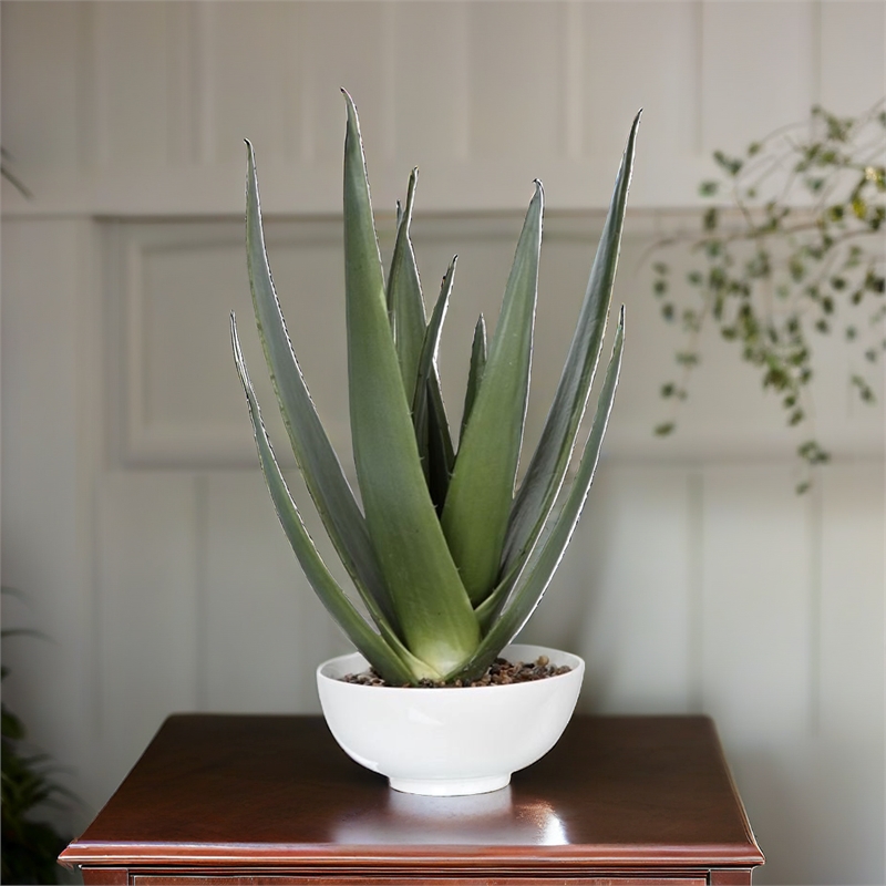 Bowery Hill Contemporary Planter in Glossy White
