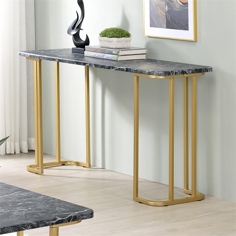 Bowery Hill Contemporary Metal Console Table in Black and Gold