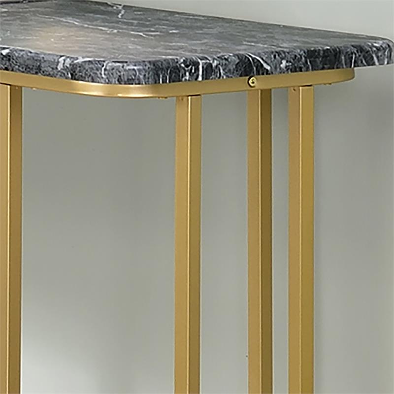 Bowery Hill Contemporary Metal Console Table in Black and Gold