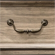 Bowery Hill 5 Drawers Farmhouse Solid Wood Chest in Rustic Natural