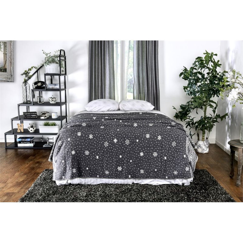Bowery Hill Transitional Metal Queen Bed Frame in Silver