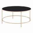 Bowery Hill Contemporary Glass Top Round Coffee Table in Gold